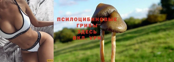 индика Балахна