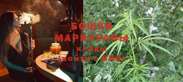 индика Балахна