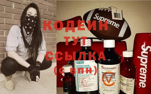 индика Балахна