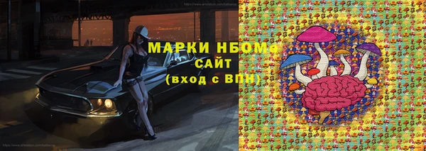 индика Балахна