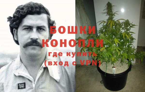 индика Балахна