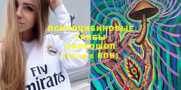индика Балахна
